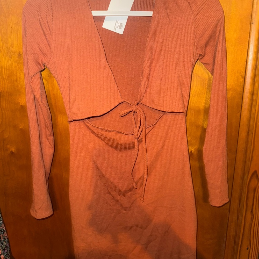 Lush Rust Mini Dress - Picture 3 of 3